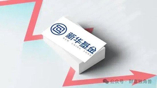 新華基金賴慶鑫在管7只基金6只虧損，高位持有國(guó)聯(lián)股份被質(zhì)疑