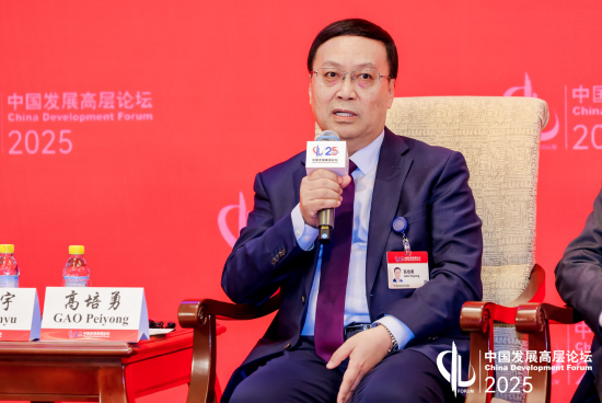 高培勇：增加地方財政的自主性，而非簡單增加地方財力
