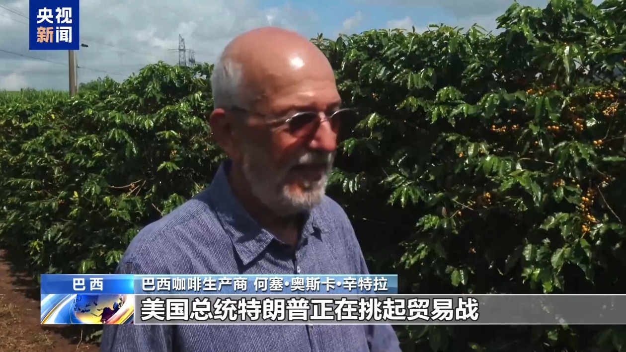 美關(guān)稅新政推高巴西咖啡成本 行業(yè)人士稱貿(mào)易戰(zhàn)無贏家