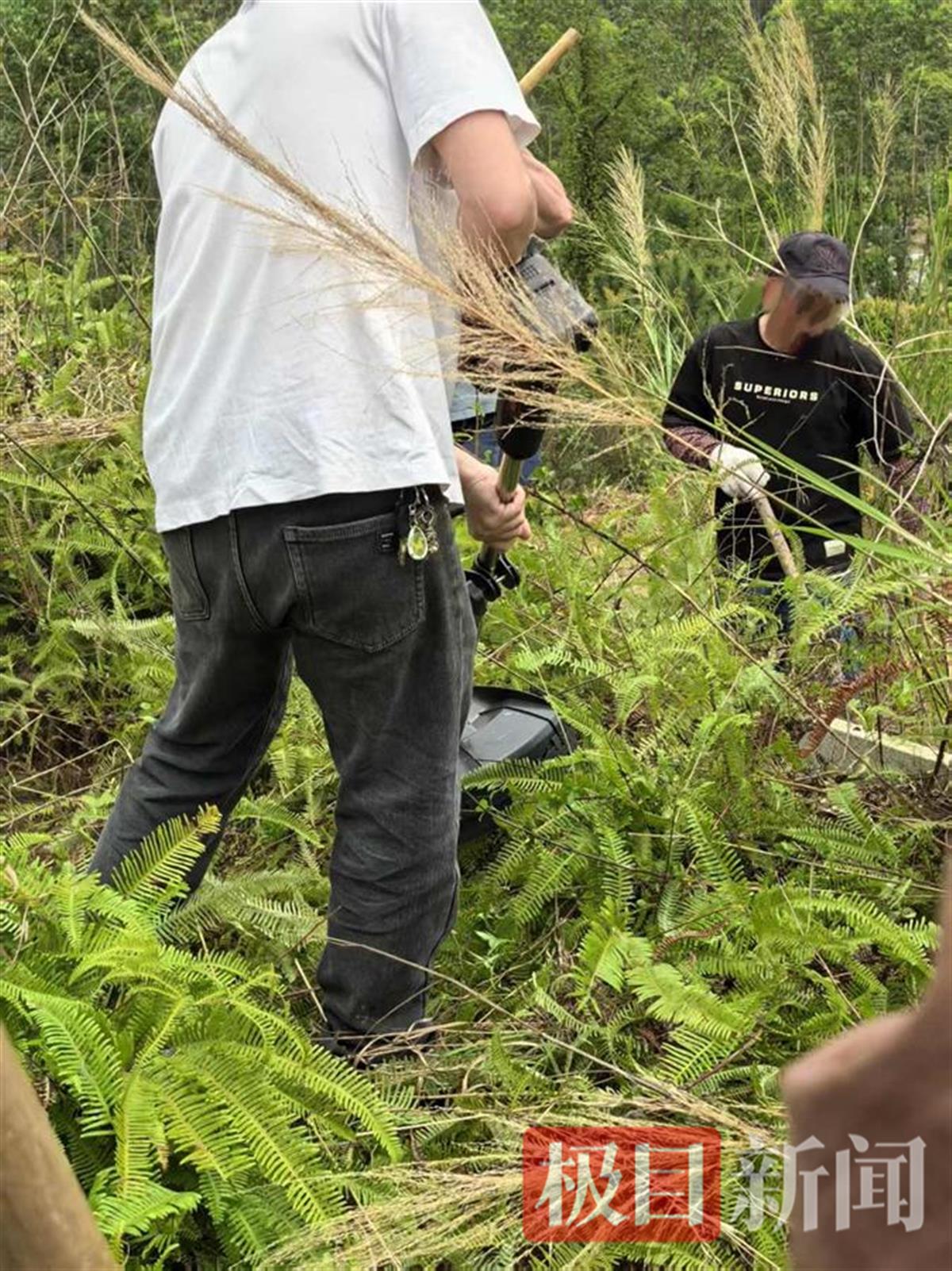 “華南F3”清明祭祖用上高科技：無人機吊運祭品上山