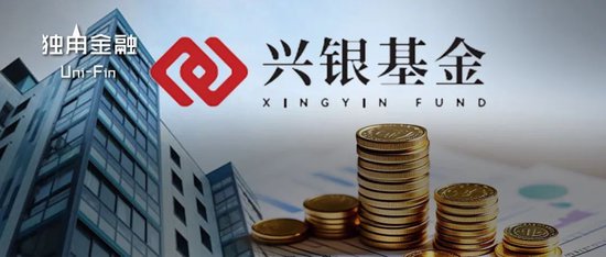 從“千億神話”到縮水190億，金融“女將”辭任興銀基金董事長
