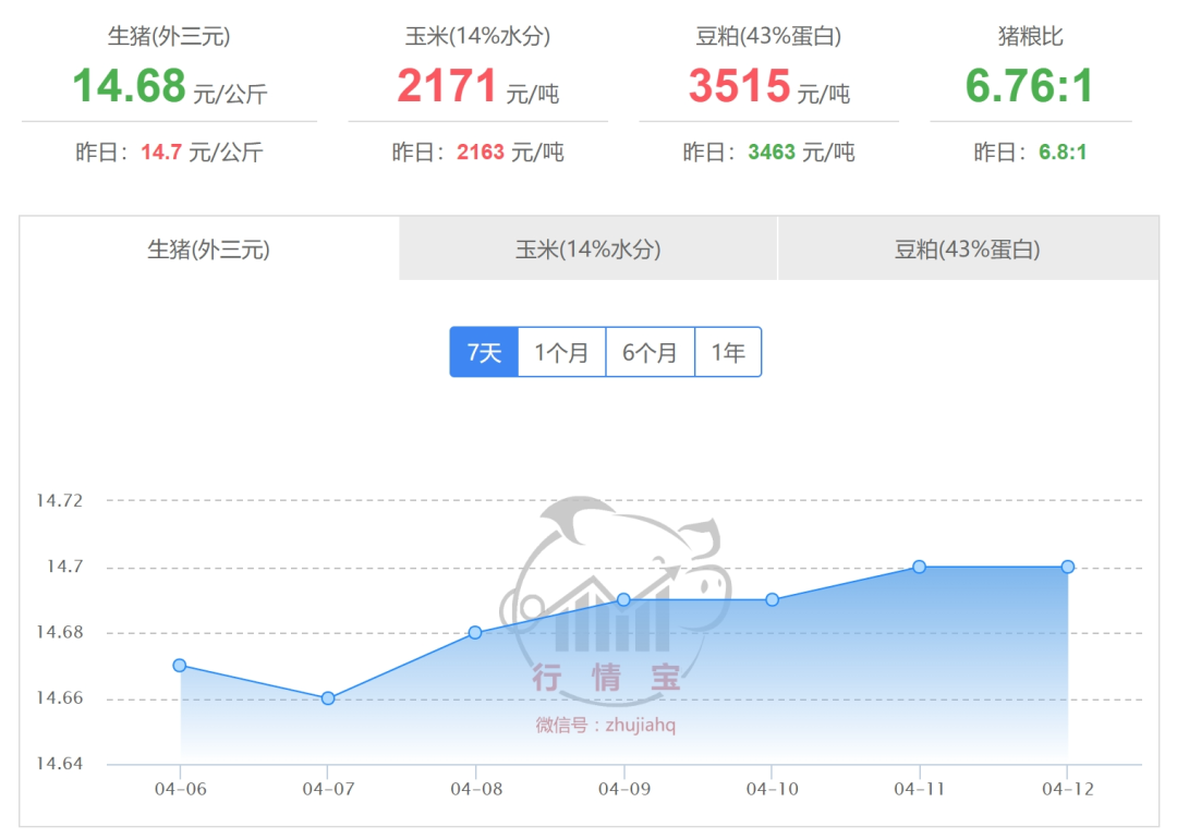 2025年4月13日國內生豬價格一覽